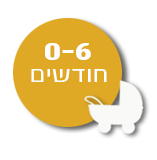 0-6 חודשים